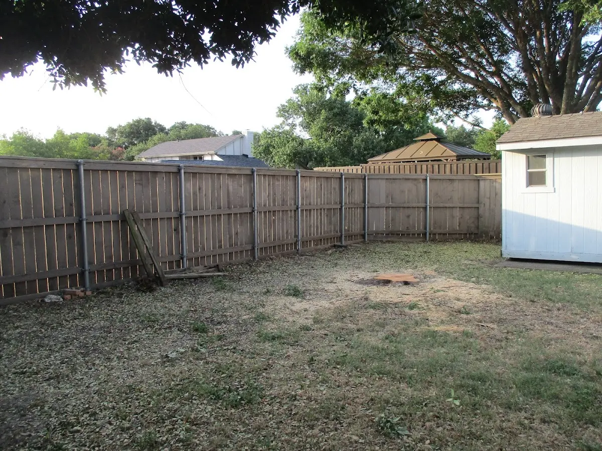 Cleared yard after professional tree removal in Bellwood
